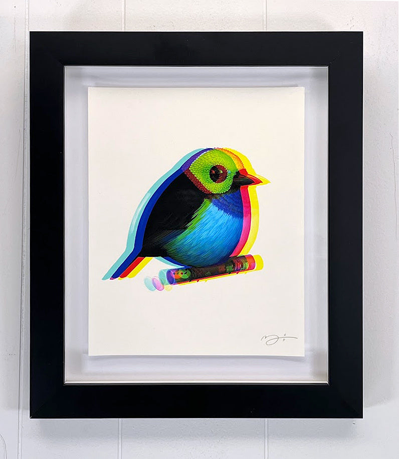 Mike Mitchell Paradise Tanager (Printing Error Variant) AP
