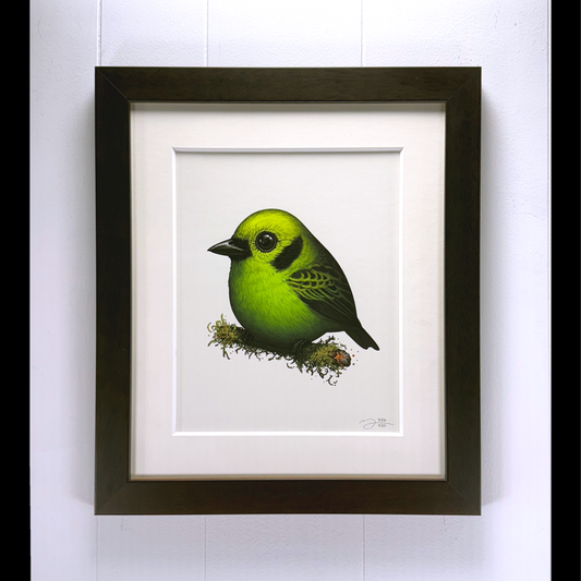 Emerald Tanager by Mike Mitchell 2024