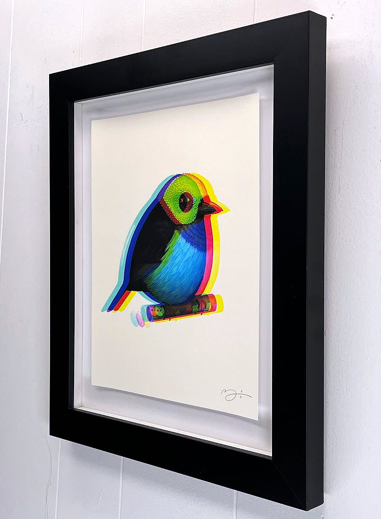 Mike Mitchell Paradise Tanager (Printing Error Variant) AP